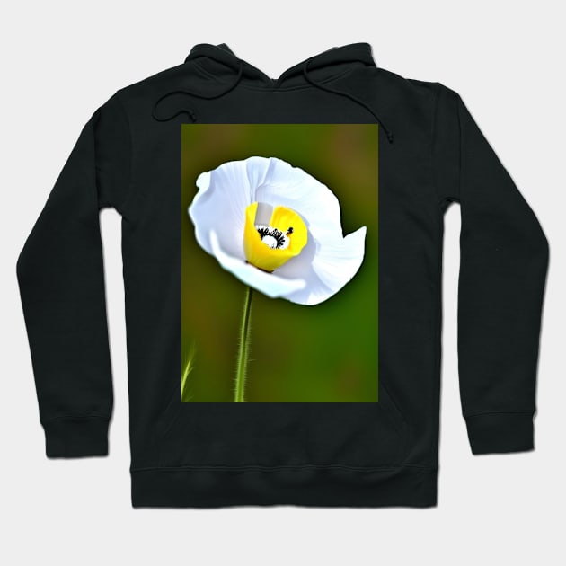 BEAUTIFUL WHITE POPPY LIGHT GREEN BACKGROUND Hoodie by sailorsam1805